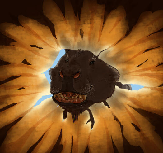 Andrewsarchus - Matteo Onofrio