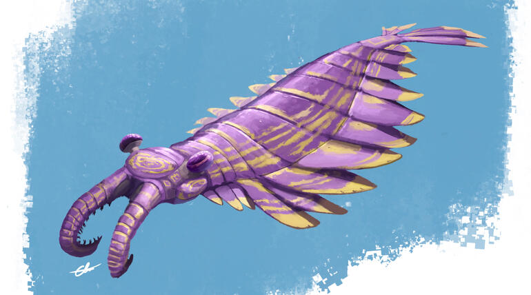 Anomalocaris - Charles Nye