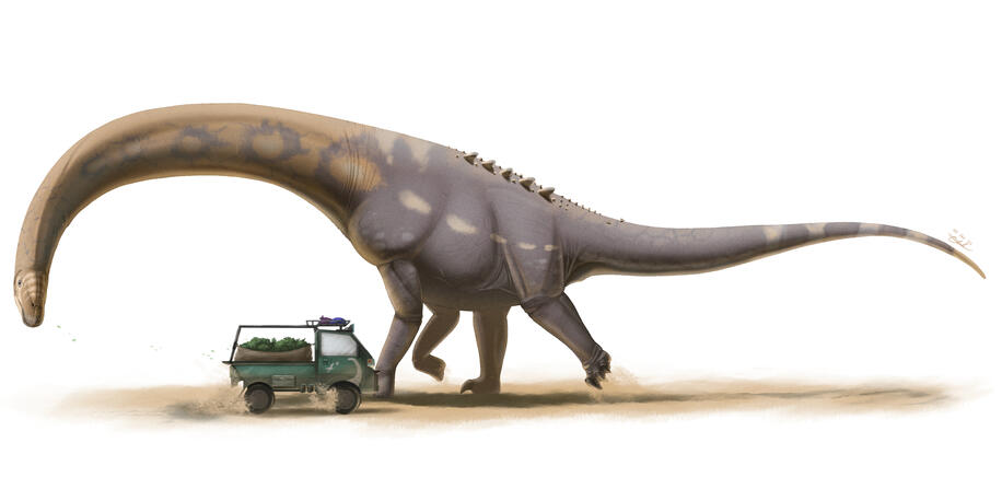 Dreadnoughtus - Charles Nye